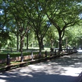 Schöne Wege und Parkbänke im Central Park