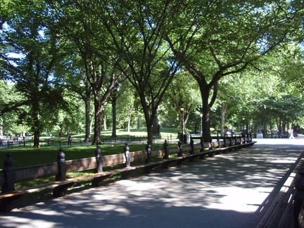 Schöne Wege und Parkbänke im Central Park