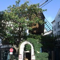 Montmartre-Viertel mit Windmühle