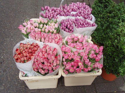 Blumenmarkt