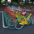 Fahrräder auf dem Googleplex