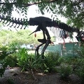 Dino Skelett auf dem Googleplex