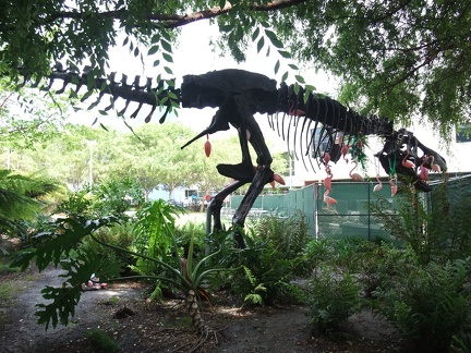 Dino Skelett auf dem Googleplex