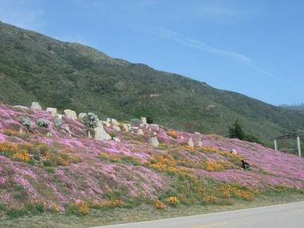 Blumen am Highway No.1