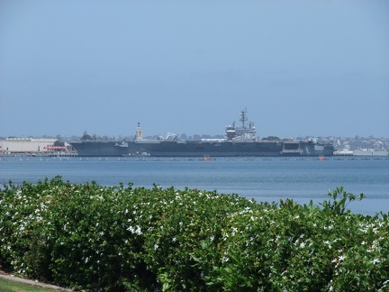 Navy Schiff