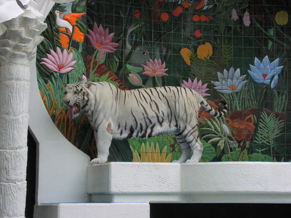 MirageTiger_02.jpg