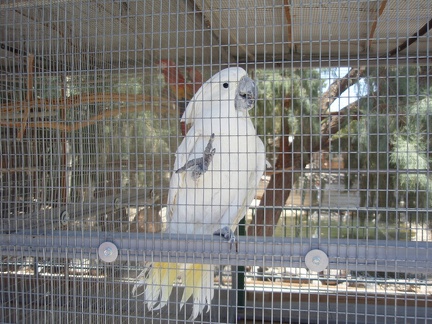 Gilcrease Bird Sanctuary