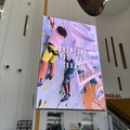 IMG 1187