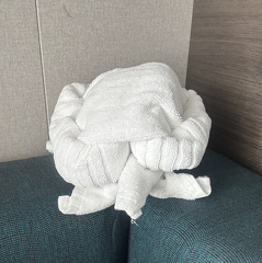 IMG 1199
