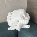 IMG_1199.jpeg