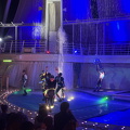 IMG 1302