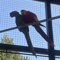 IMG 1402