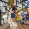 IMG_1423.jpeg