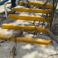 IMG 1232 2