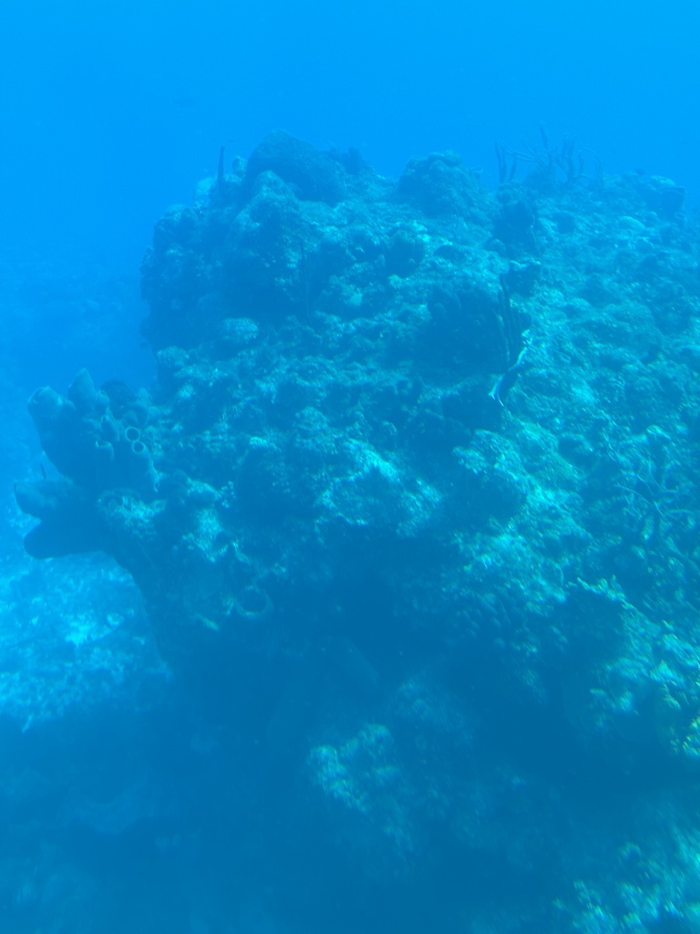 IMG_1513.jpeg