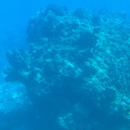 IMG 1513