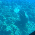 IMG 1514