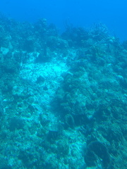IMG 1516