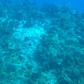 IMG 1516