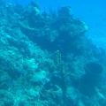 IMG 1517