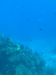 IMG 1519