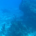 IMG 1528