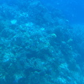 IMG 1530