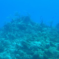 IMG 1538