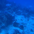 IMG 1571