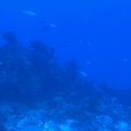 IMG 1573