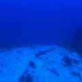 IMG 1590