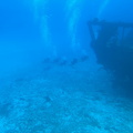 IMG 1597