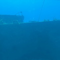 IMG 1606