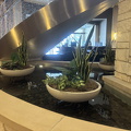 IMG 1725