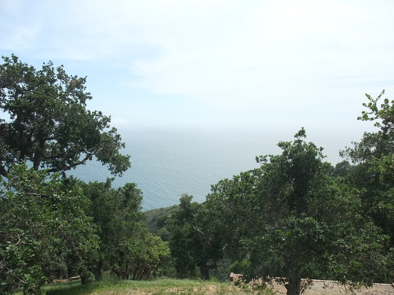 DSCF3380.JPG