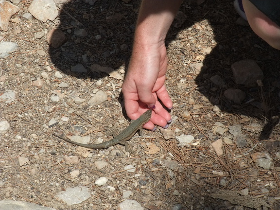 DSCF2887.JPG