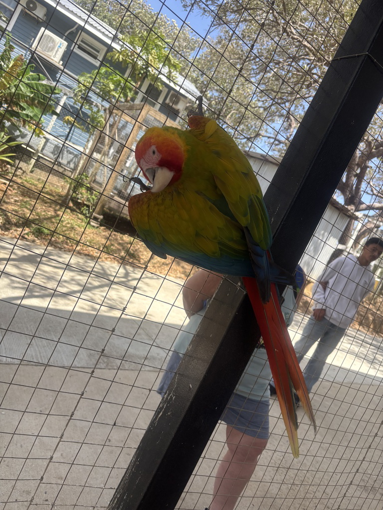 IMG_1421.jpeg