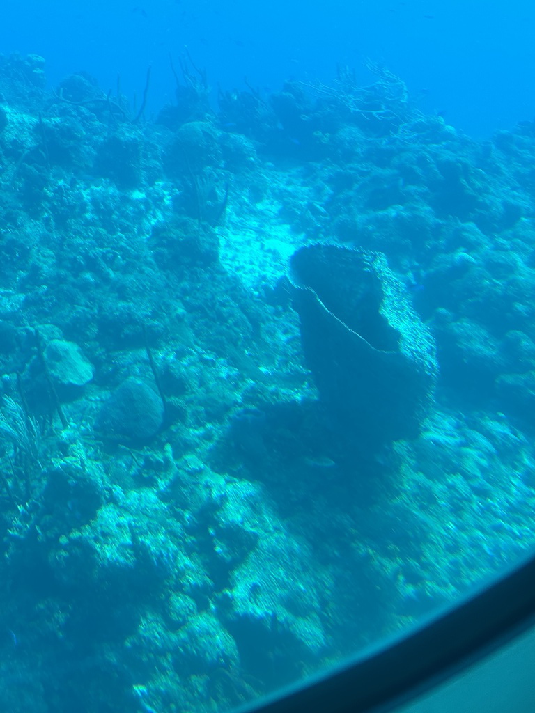 IMG_1514.jpeg