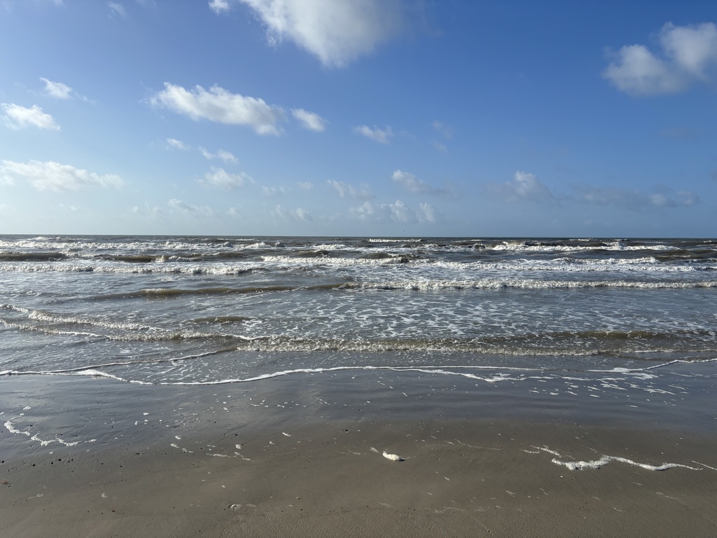 IMG_1184.jpeg