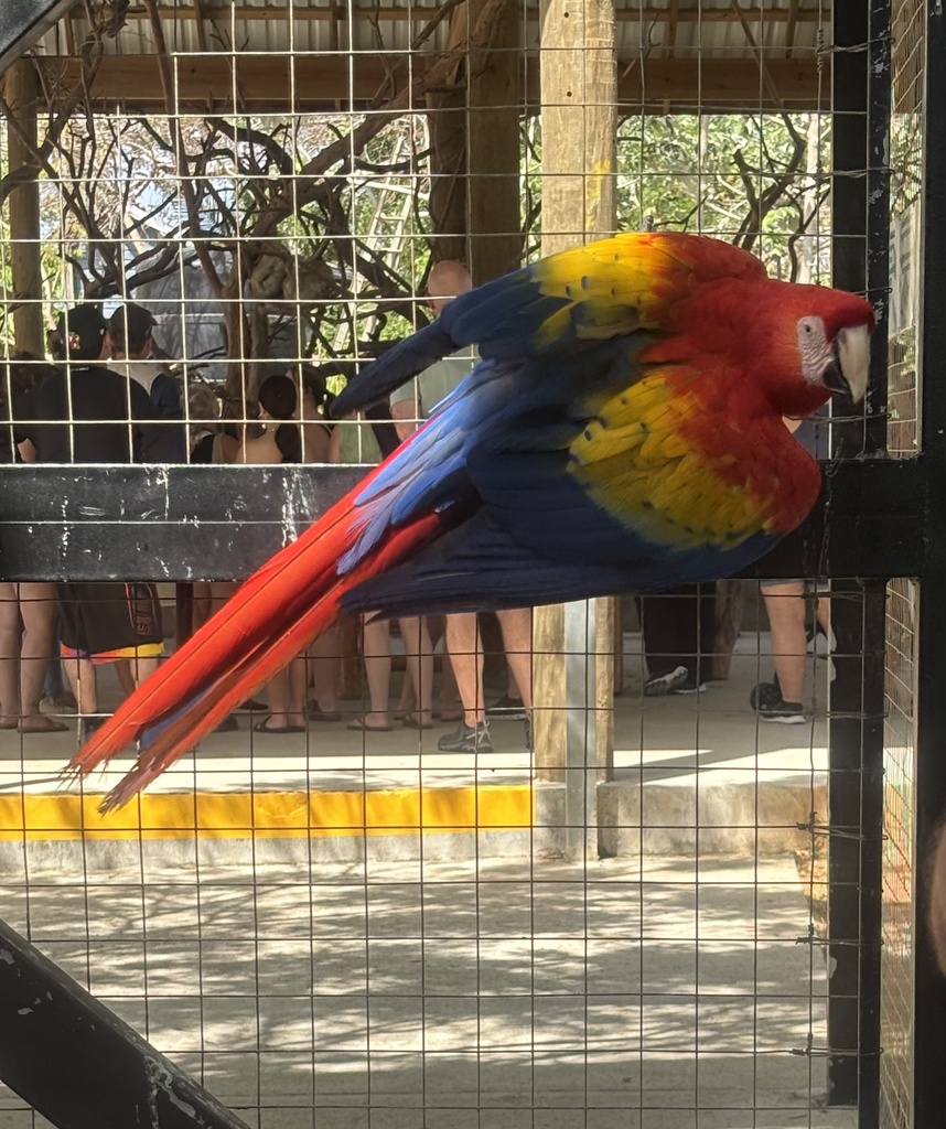 IMG_1404.jpeg