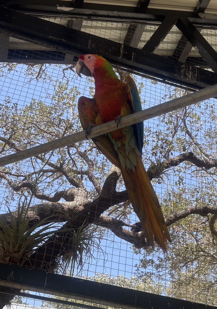 IMG_1424.jpeg