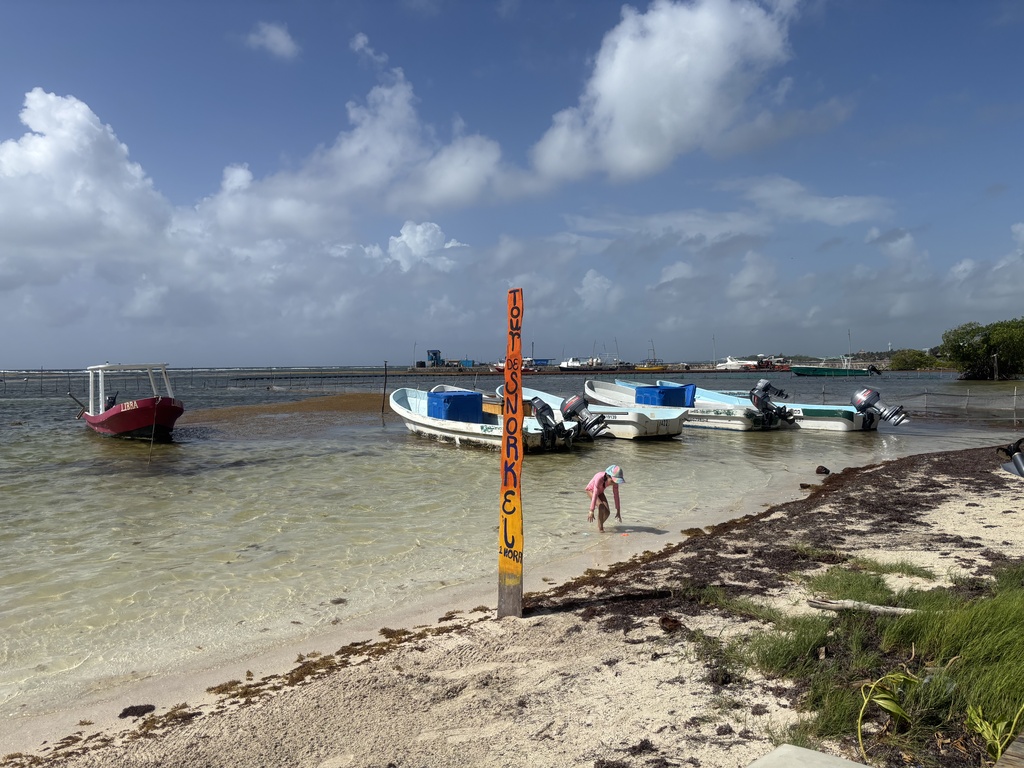 IMG_1492.jpeg