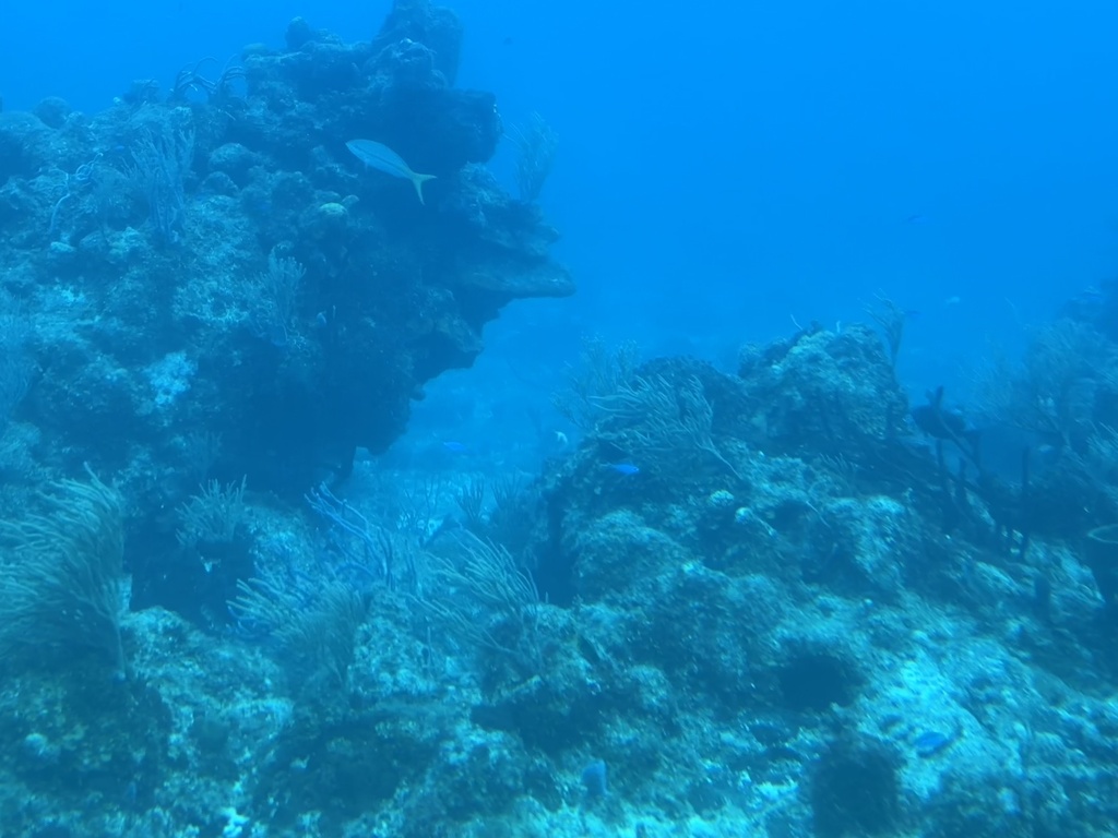 IMG_1552.jpeg