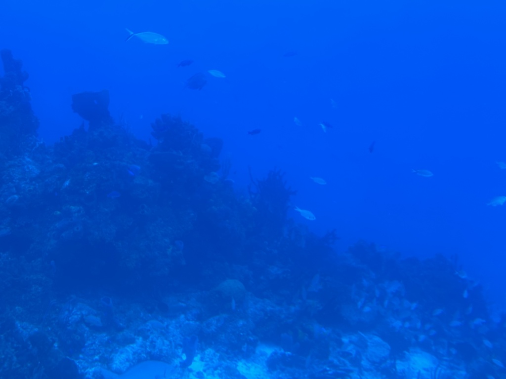 IMG_1573.jpeg