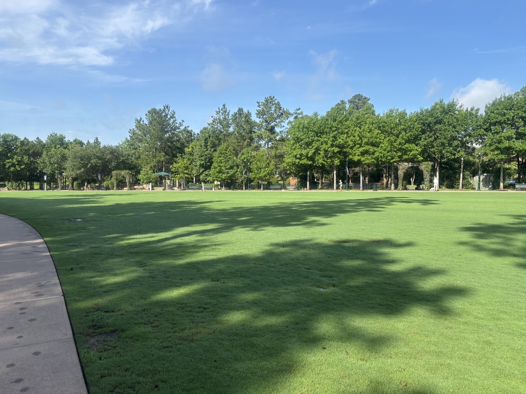 IMG_1728.jpeg